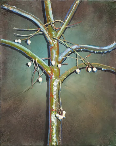 Arjan van Helmond — Mountain Ash