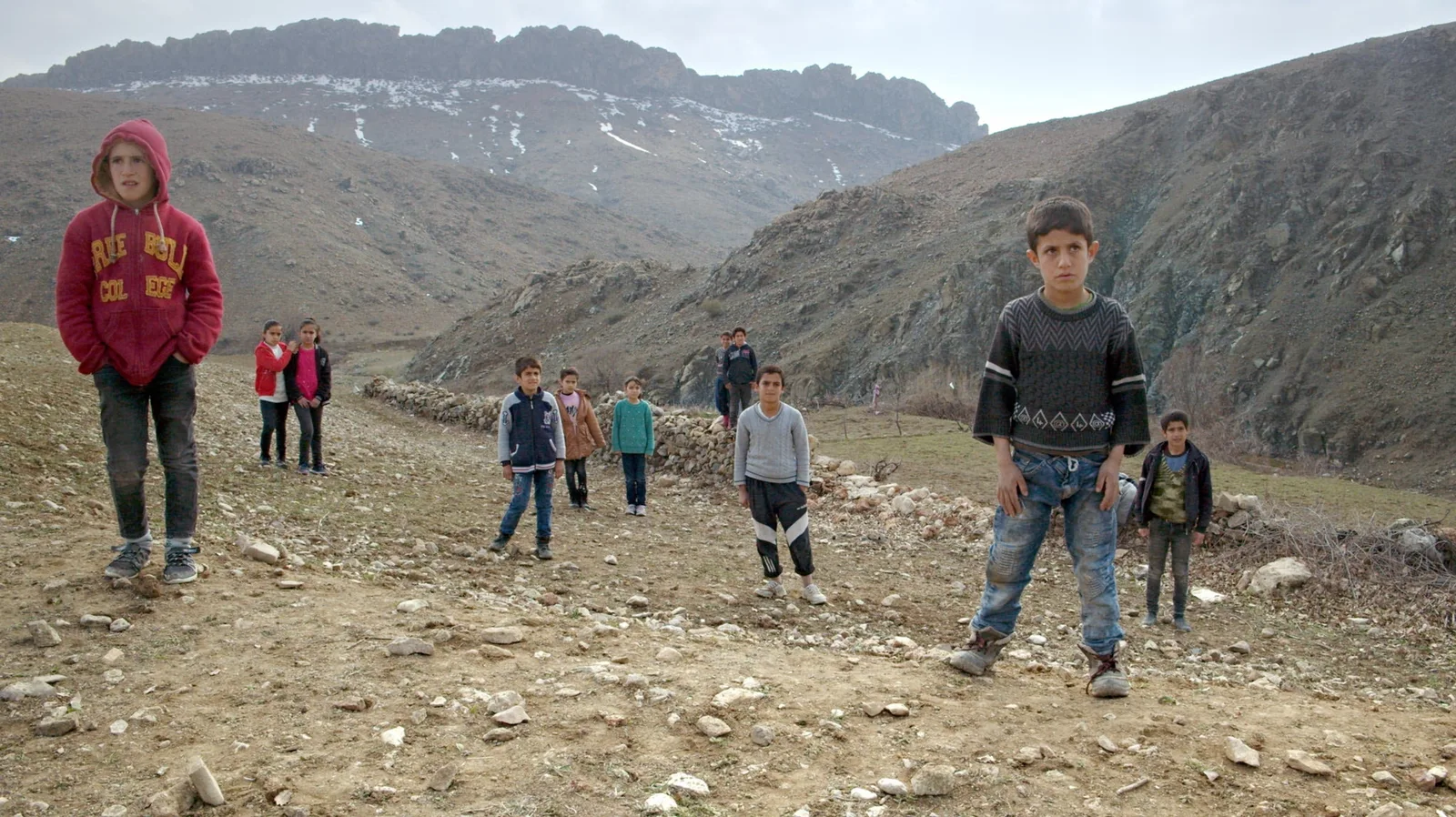 Jiyan Düyü — Birds Fly Back