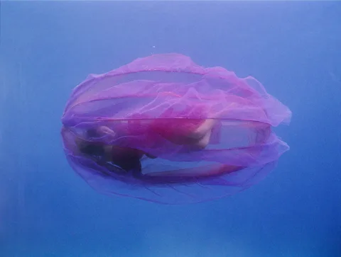 Maura Biava — Doride: while changing