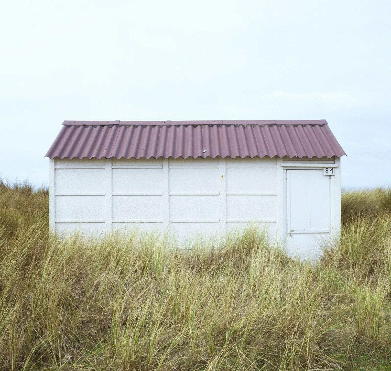Götz Diergarten — Zonder titel