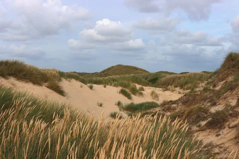 Rune Peitersen — RAABJERG