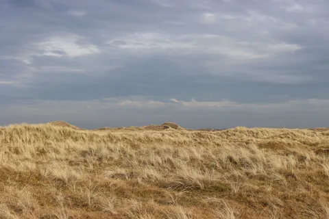 Rune Peitersen — RAABJERG#07