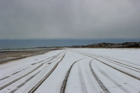 Rune Peitersen — RAABJERG#20