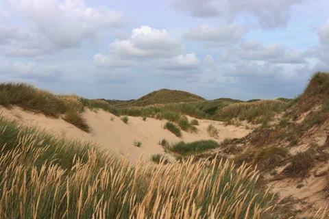 Rune Peitersen — RAABJERG#59