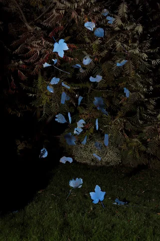 Michelle Piergoelam — Watertales