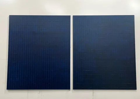 Loes van Roozendaal — T02532
