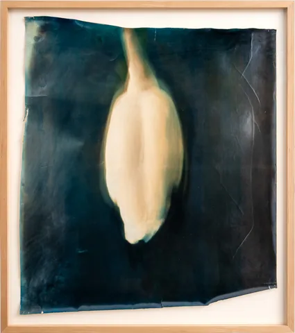 BarBara Hanlo — Untitled