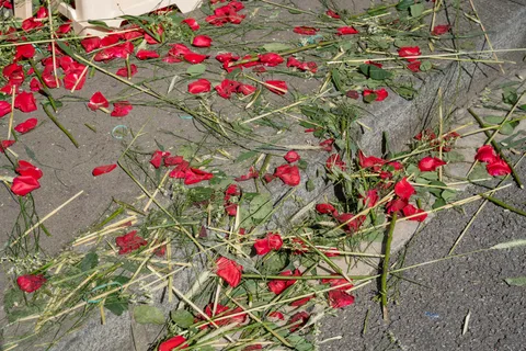 Enea Mingorance — What remains after?