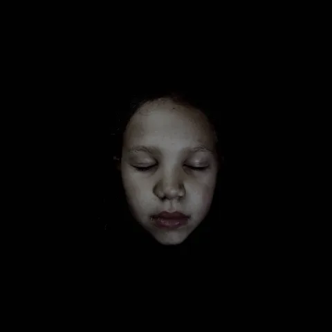 Hans Op de Beeck — Determination