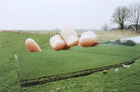 Marijke van Warmerdam — Grip