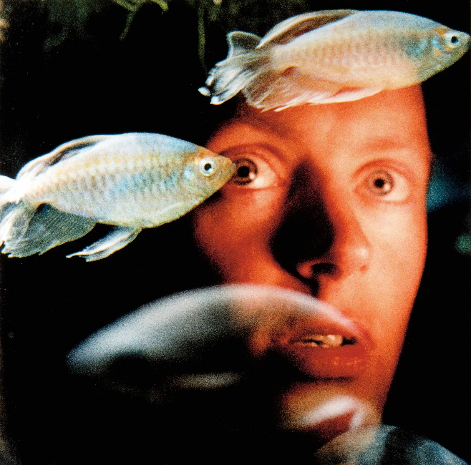Wouter van Riessen — Zelfportret met vissen