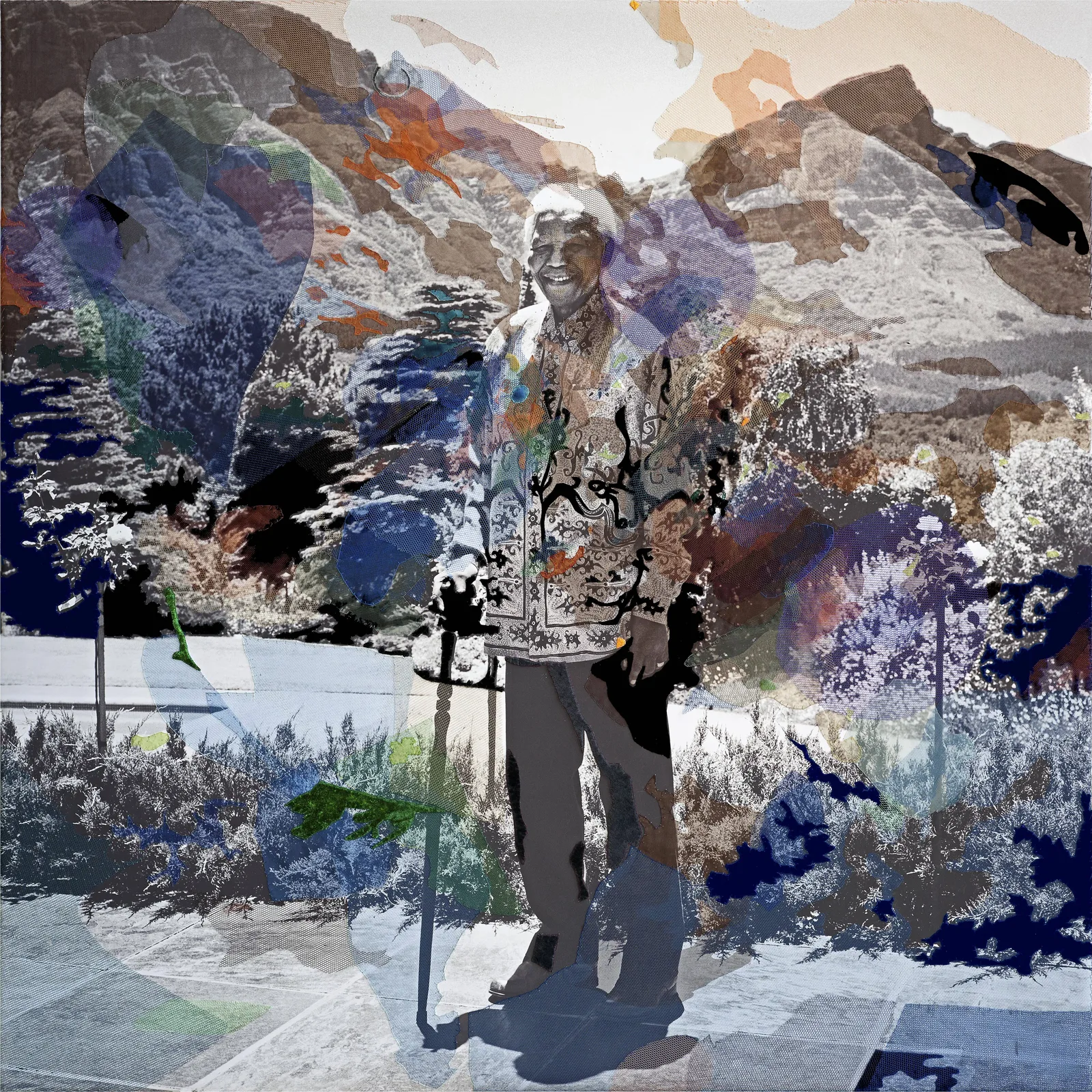 Berend Strik — Mandela Landscape