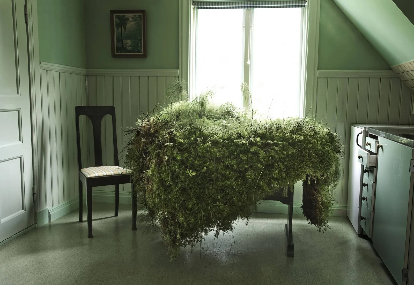 Lin de Mol — Moss Table