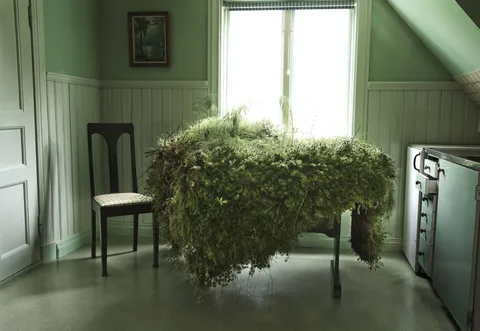 Lin de Mol — Moss Table
