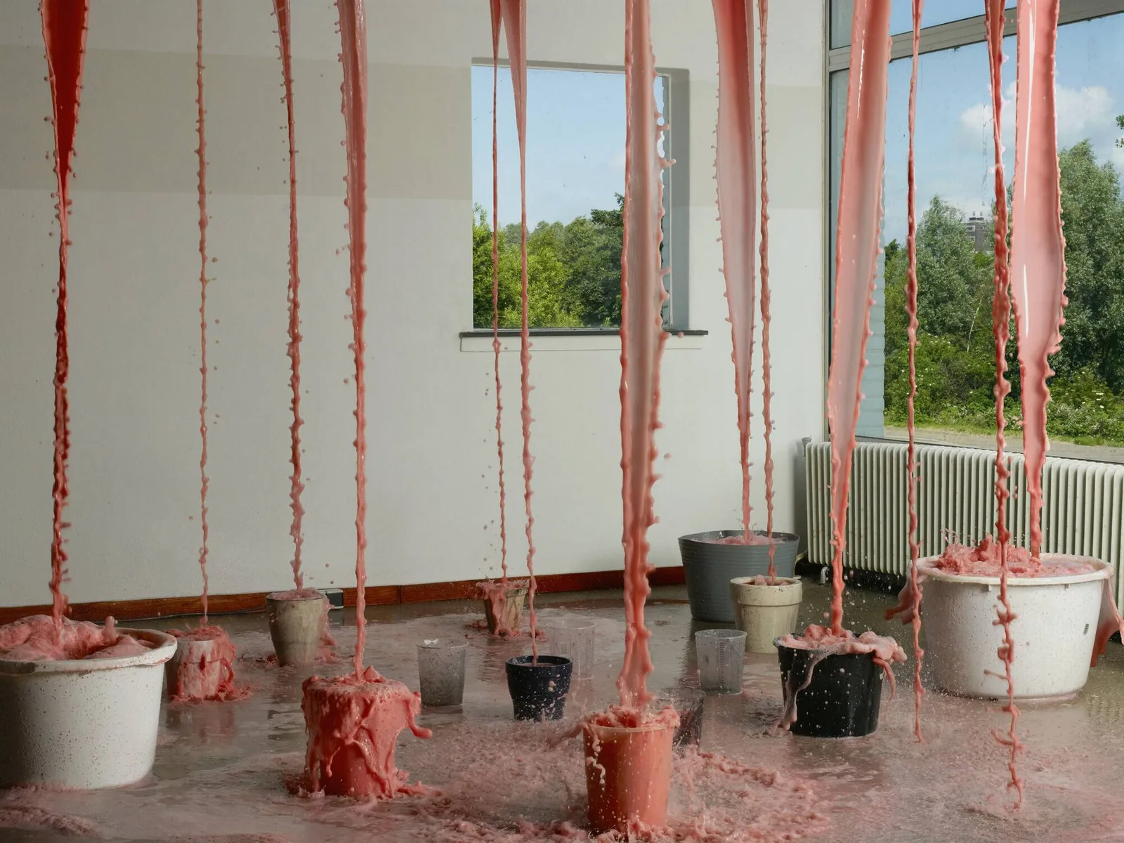 Sylvie Zijlmans — What goes up
