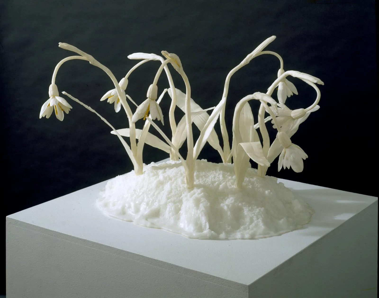 Keith Edmier — Snowdrops