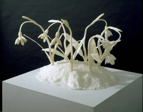 Keith Edmier — Snowdrops