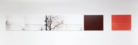Uta Barth — White Blind (Bright Red)