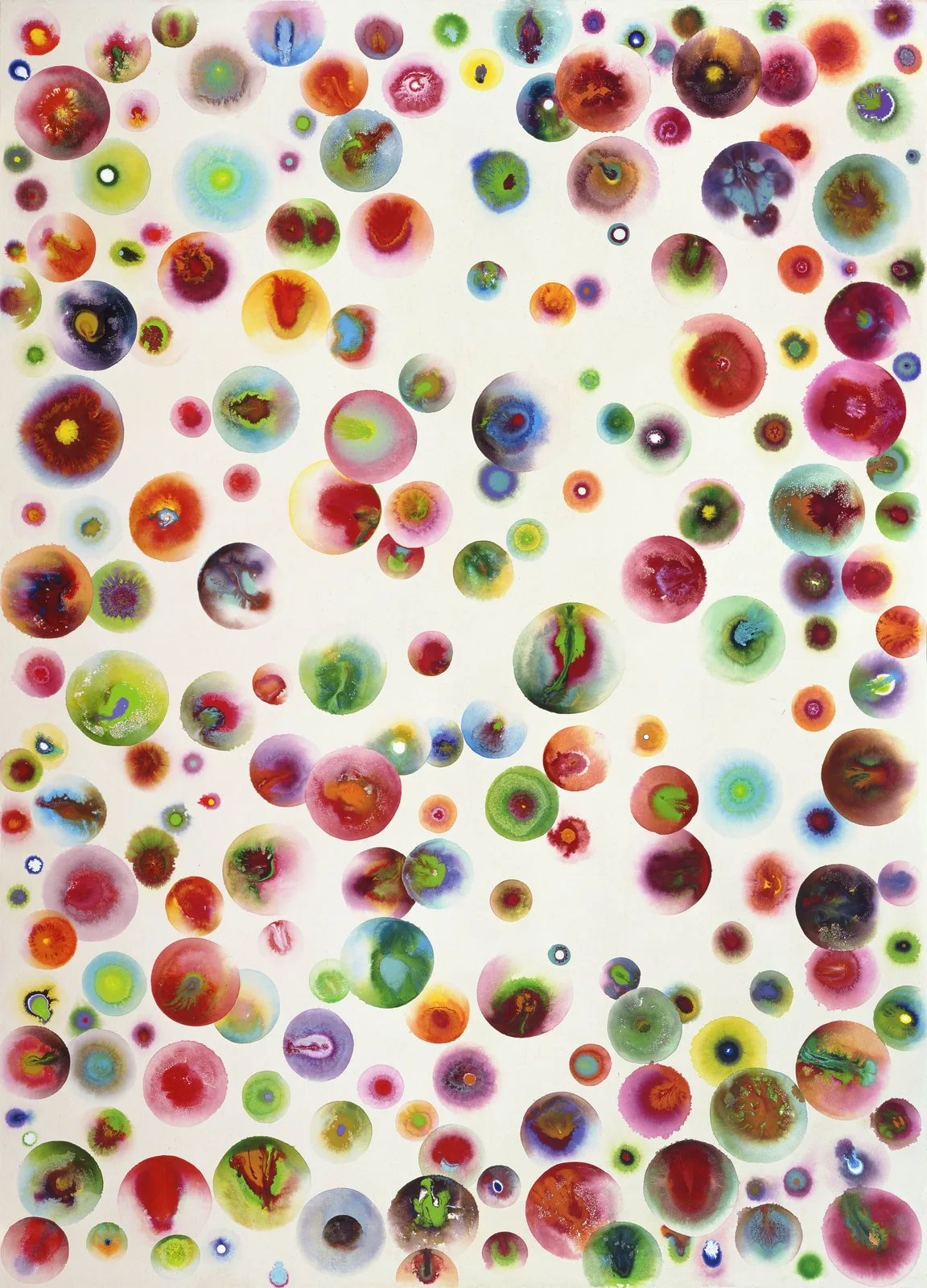 Seet van Hout — Blumenzucht