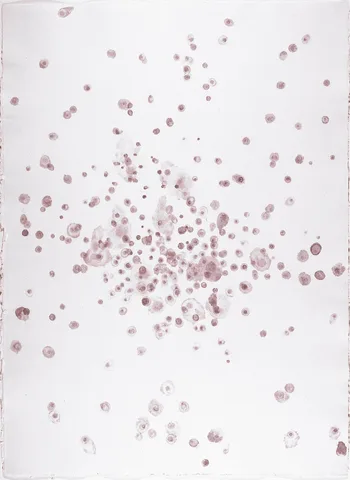 Callum Innes — Zonder titel