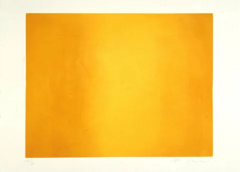 Anish Kapoor — Zonder titel