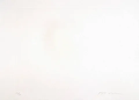 Anish Kapoor — Zonder titel