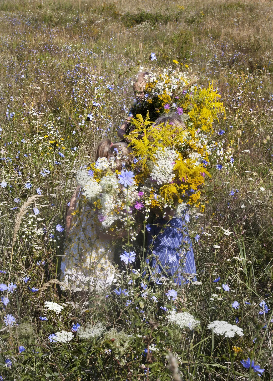 Elspeth Diederix — Flower Girls