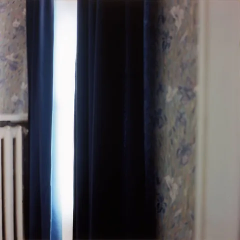 Elisa Sighicelli — Paris: Wallpaper