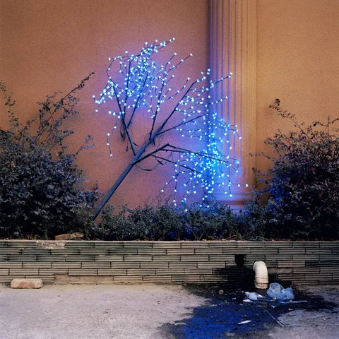 Xiaoxiao Xu — Untitled